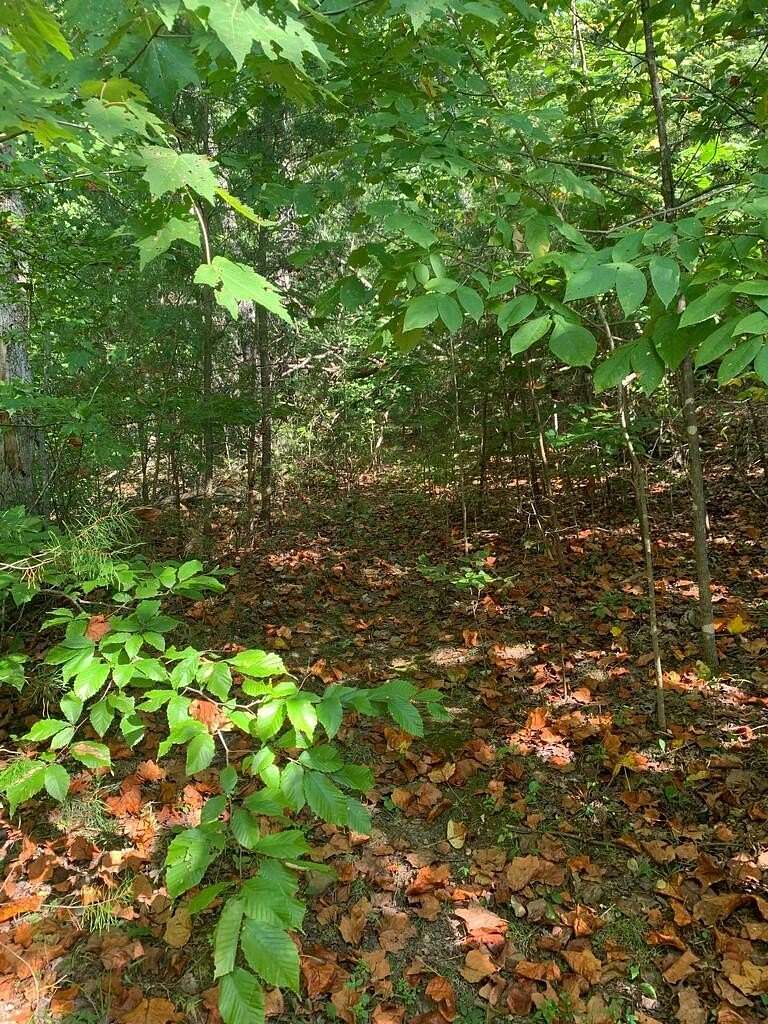4 Acres of Residential Land for Sale in Spencer, Tennessee