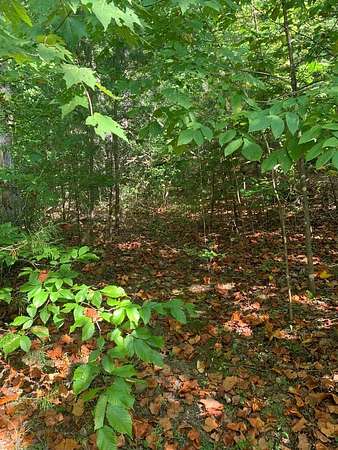 4 Acres of Residential Land for Sale in Spencer, Tennessee