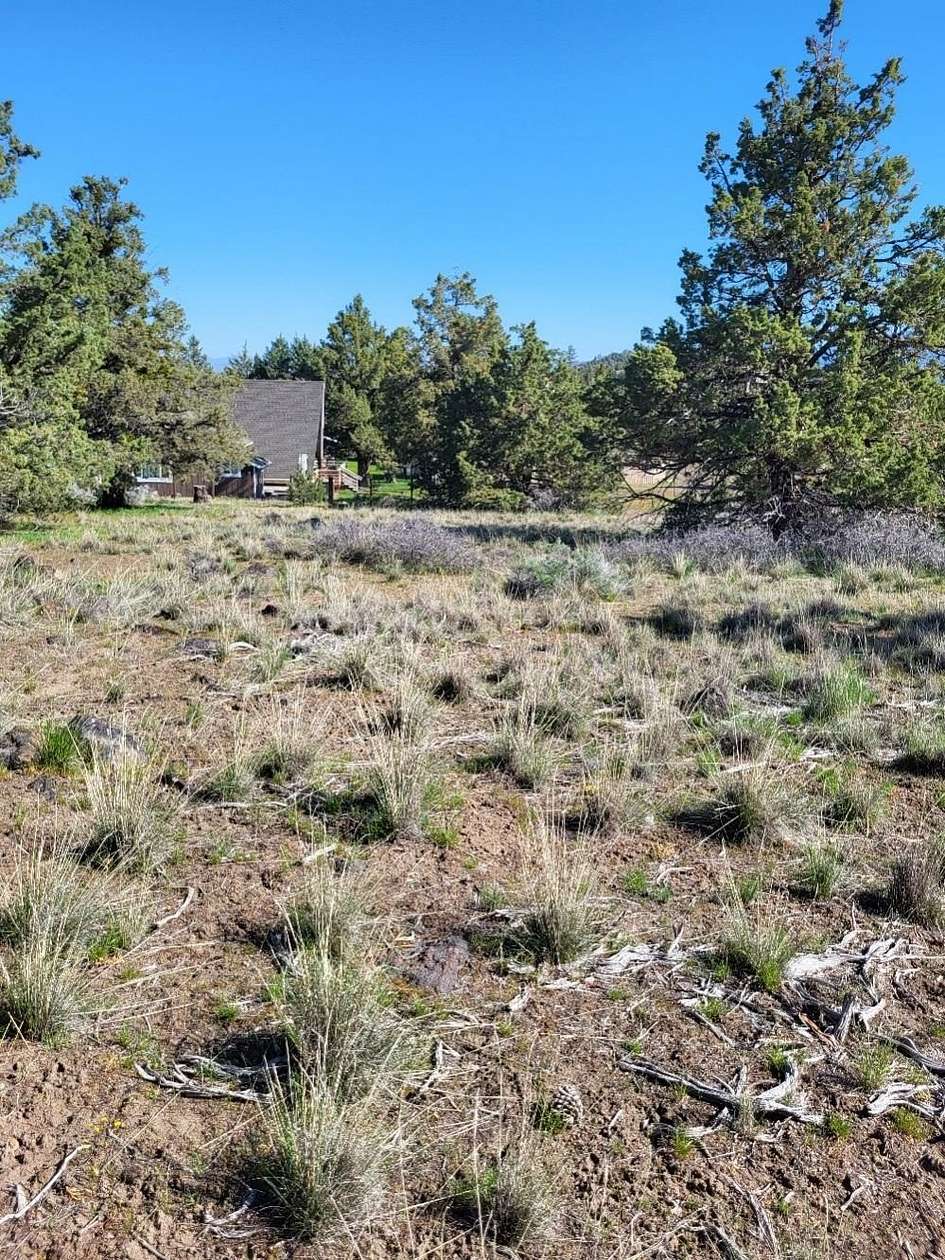 0.3 Acres of Residential Land for Sale in Weed, California