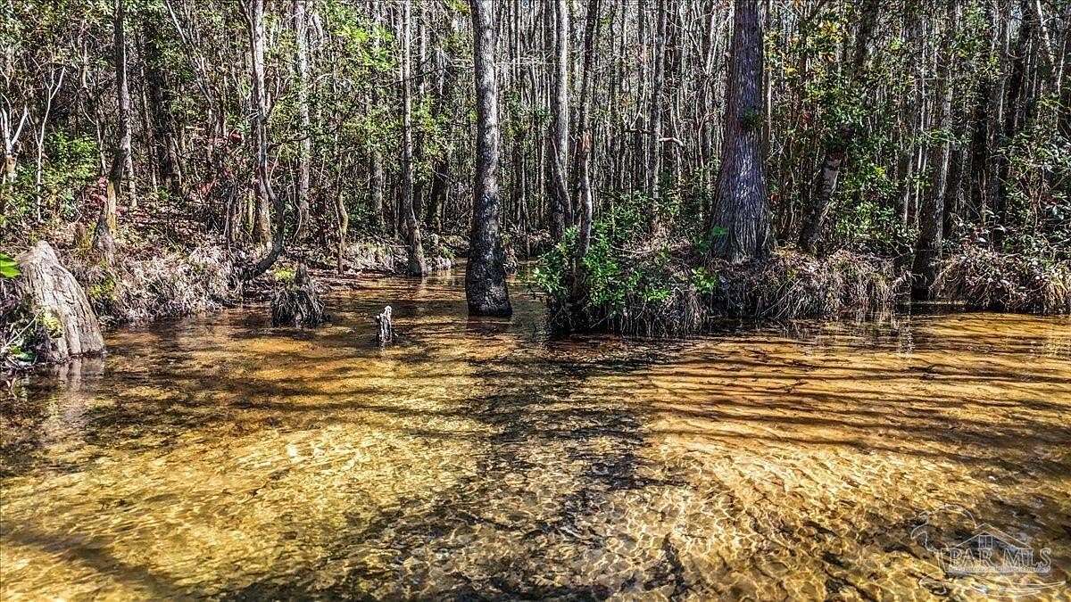 25.1 Acres of Recreational Land & Farm for Sale in Pace, Florida