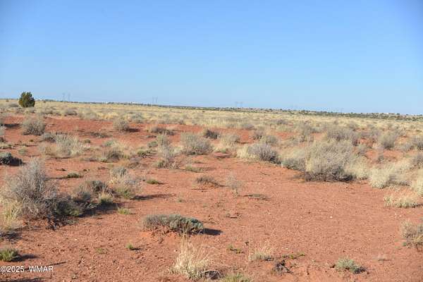 10 Acres of Agricultural Land for Sale in Snowflake, Arizona