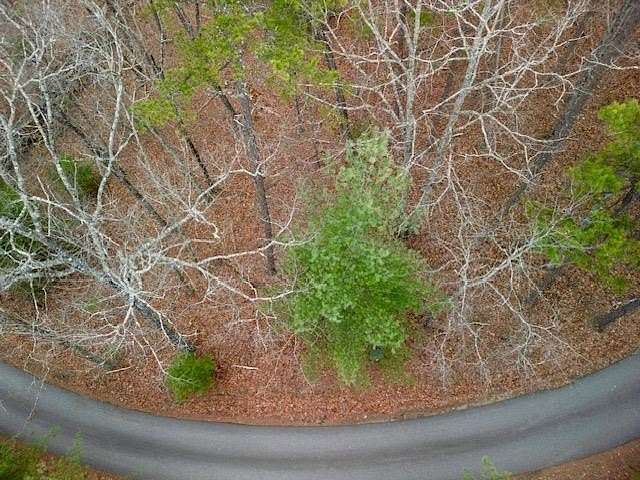 12.3 Acres of Land for Sale in Morganton, Georgia