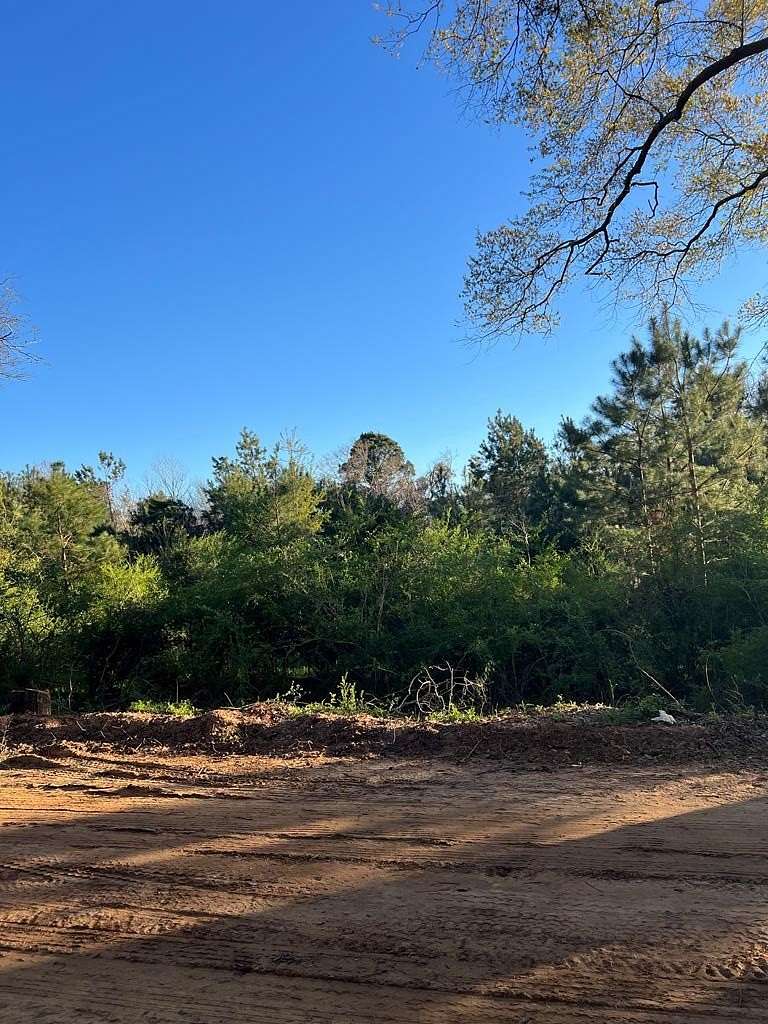 16.3 Acres of Land for Sale in Alma, Georgia