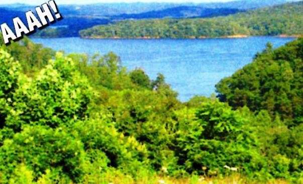 3.2 Acres of Residential Land for Sale in Harriman, Tennessee