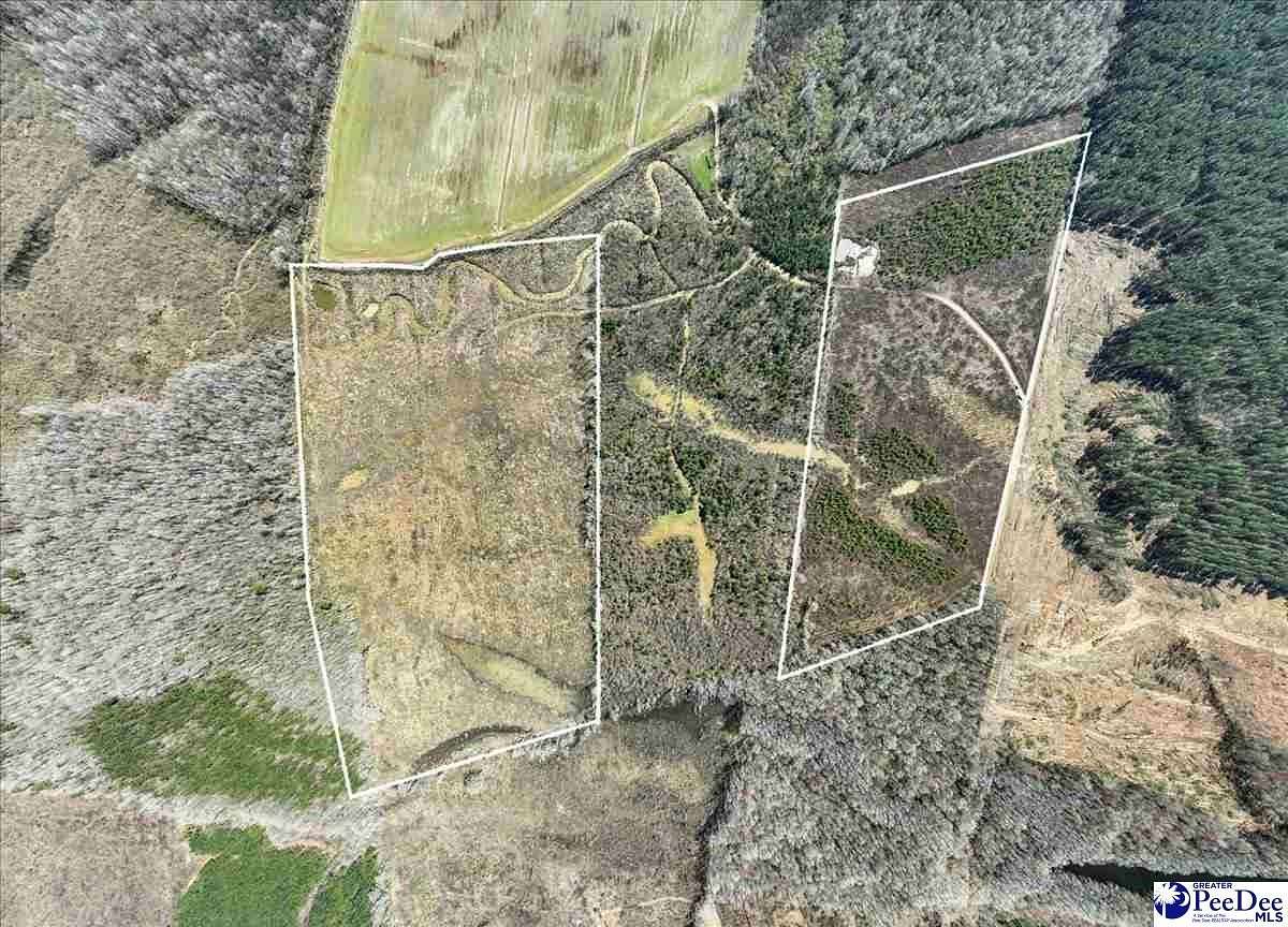 49 Acres of Recreational Land & Farm for Sale in Cheraw, South Carolina