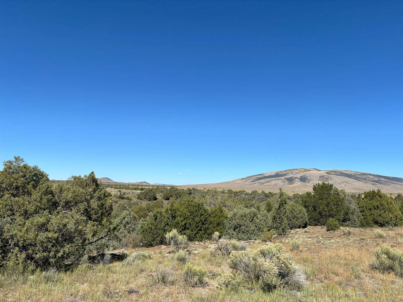 40 Acres of Recreational Land & Farm for Sale in Tres Piedras, New Mexico