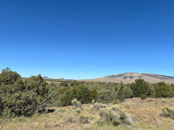 40 Acres of Land for Sale in Tres Piedras, New Mexico
