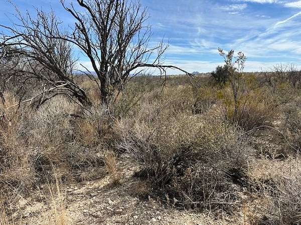 Land for Sale in Terlingua, Texas