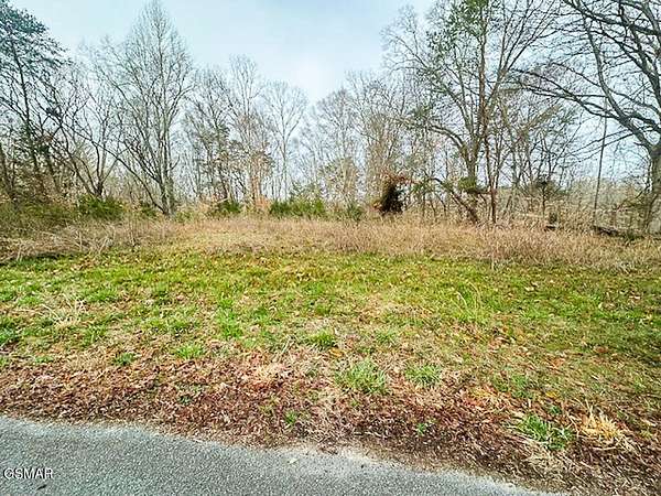 0.48 Acres of Residential Land for Sale in Baneberry, Tennessee