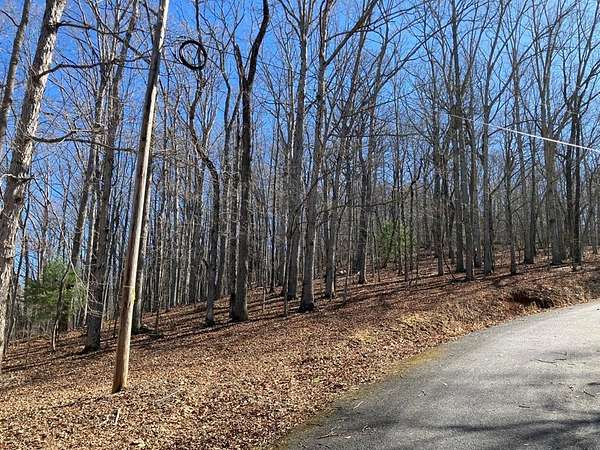 Residential Land for Sale in Warne, North Carolina