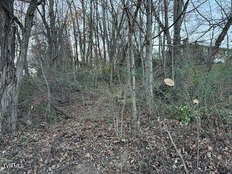 0.28 Acres of Residential Land for Sale in Bristol, Virginia