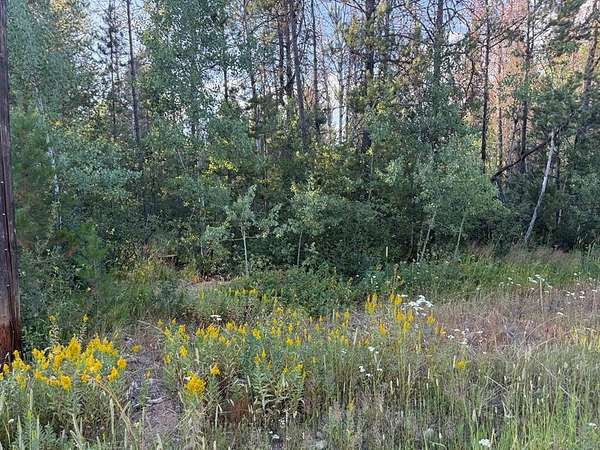 0.46 Acres of Residential Land for Sale in Donnelly, Idaho