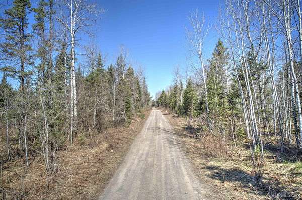 78 Acres of Recreational Land for Sale in Crystal Falls Township, Michigan