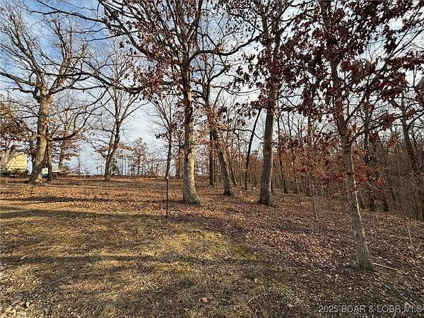 0.58 Acres of Land for Sale in Laurie, Missouri