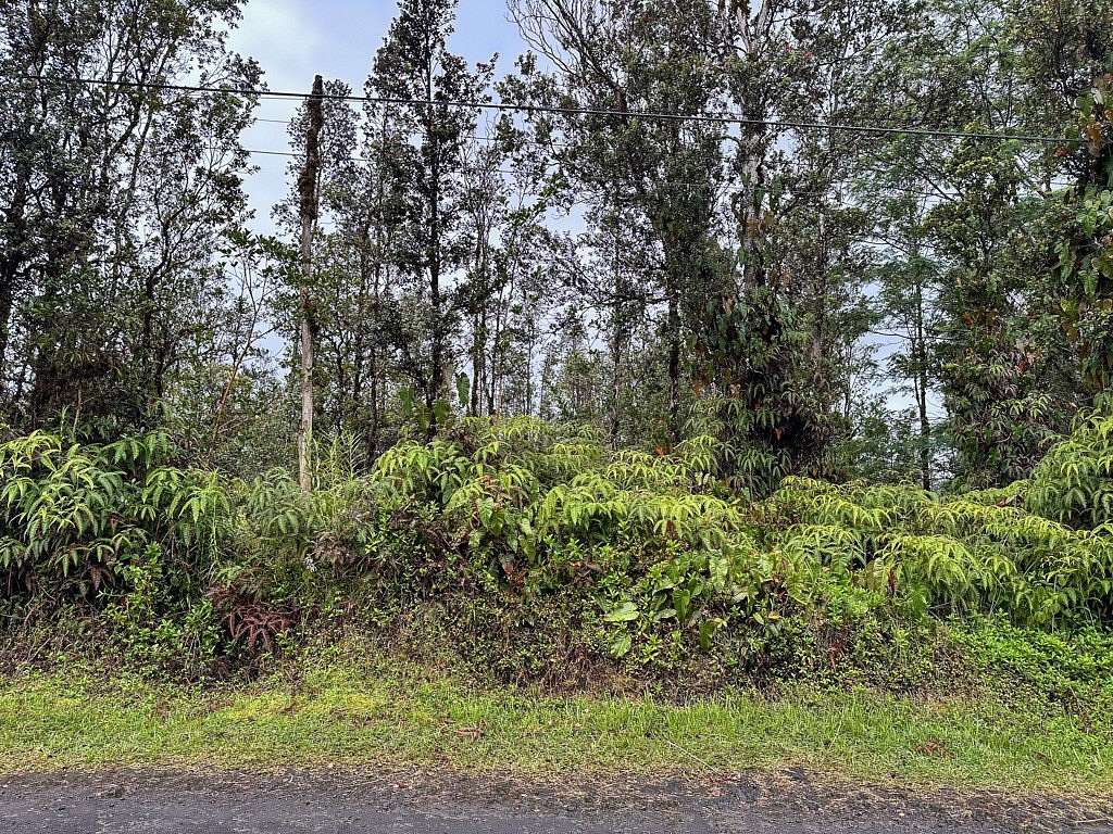 3 Acres of Land for Sale in Mountain View, Hawaii
