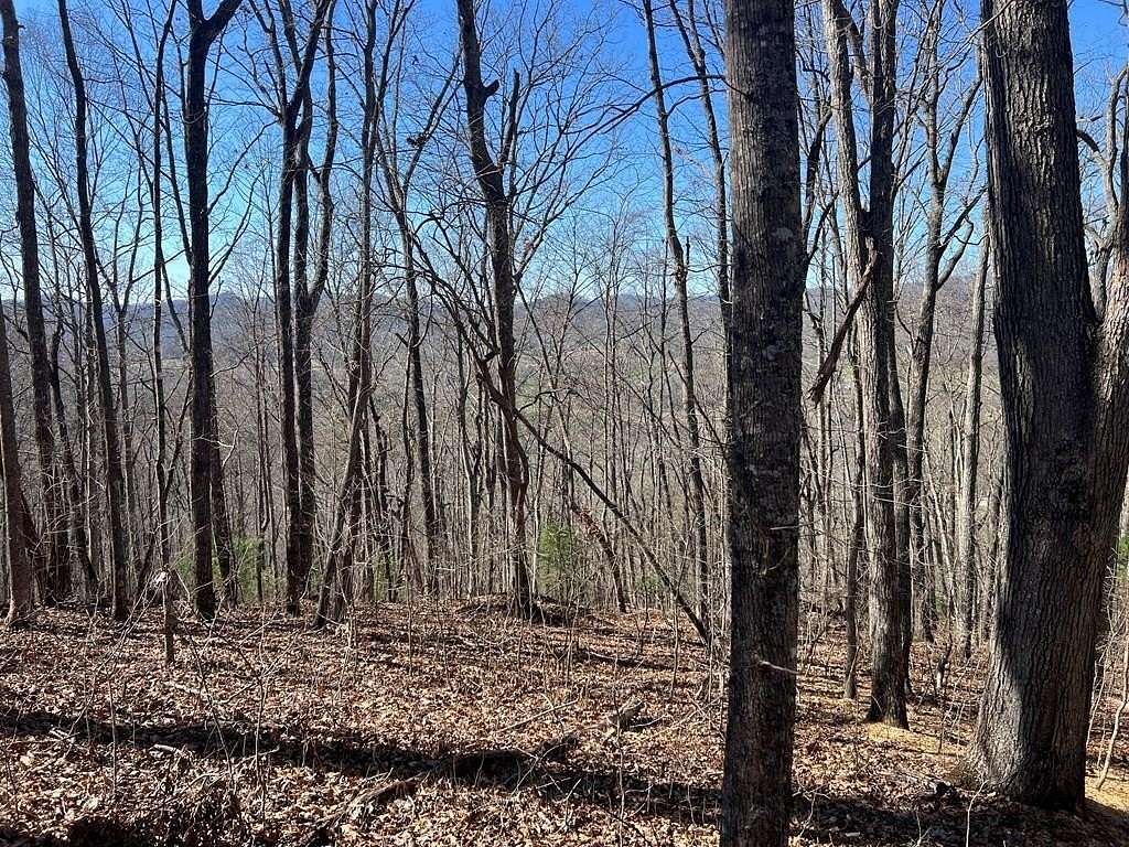 4.33 Acres of Residential Land for Sale in Hayesville, North Carolina