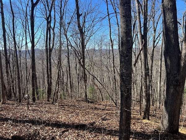 4.33 Acres of Residential Land for Sale in Hayesville, North Carolina
