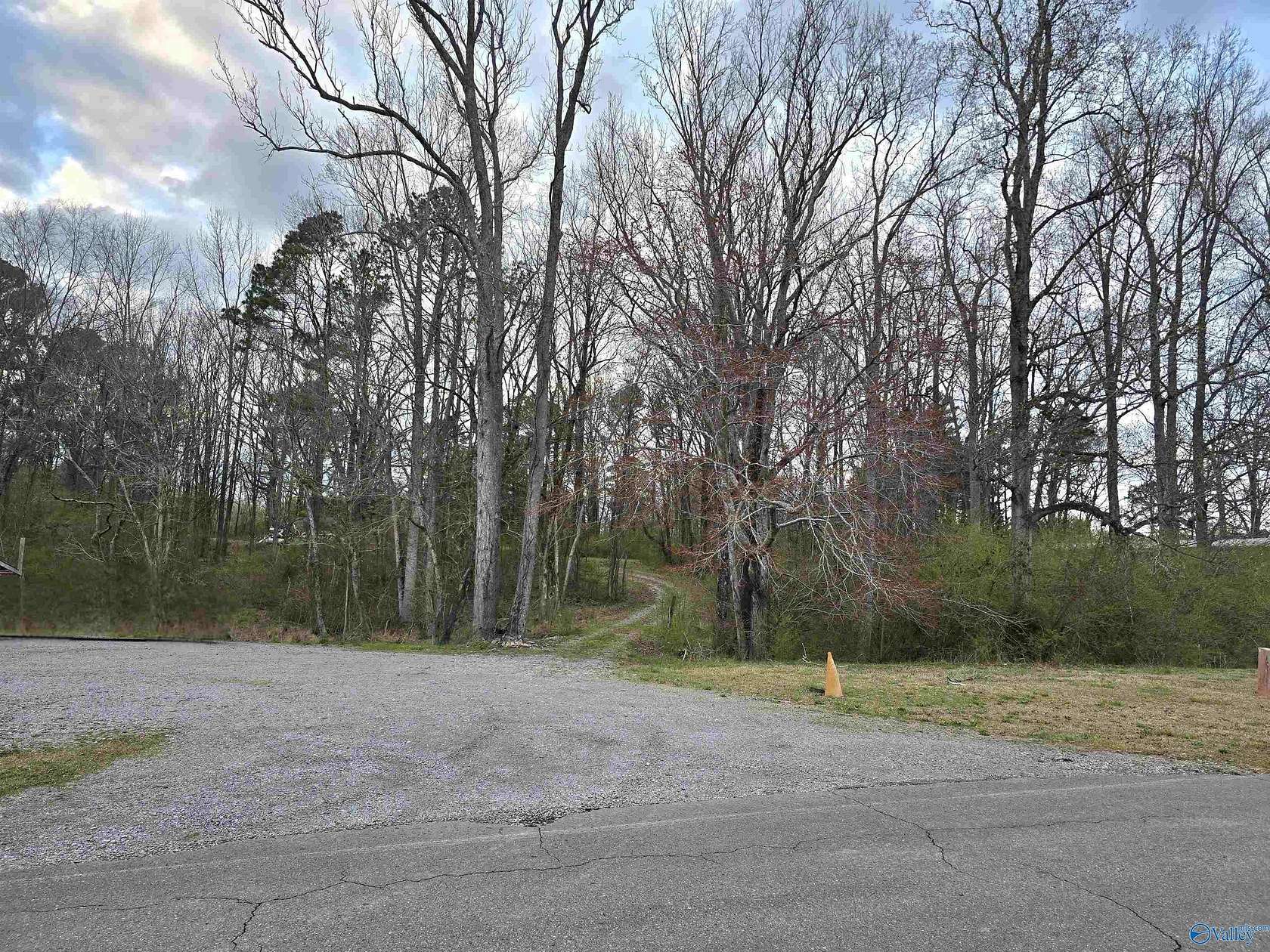 10 Acres of Land for Sale in Falkville, Alabama