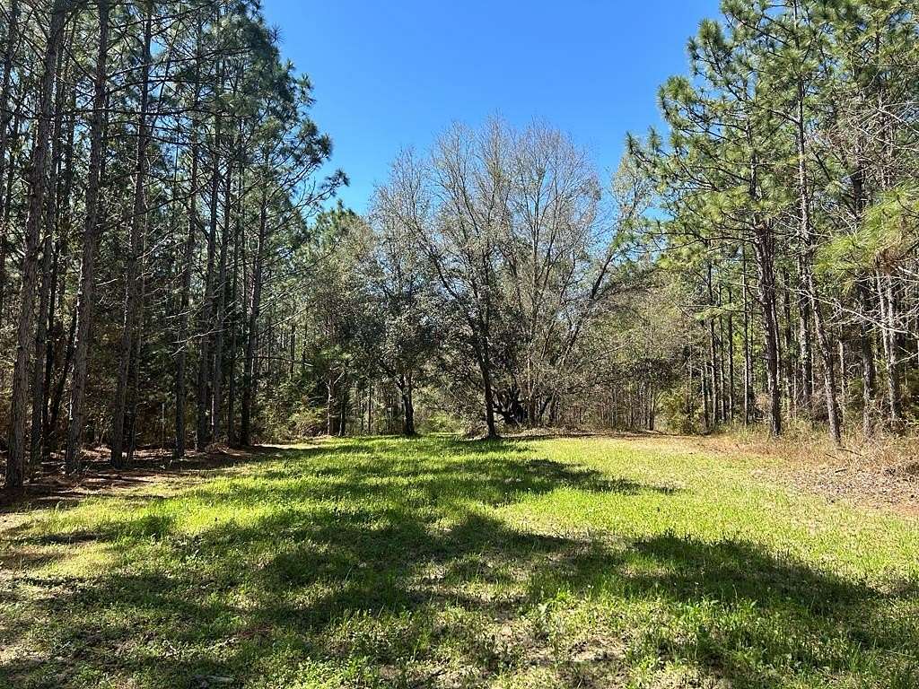 159 Acres of Land for Sale in Slocomb, Alabama