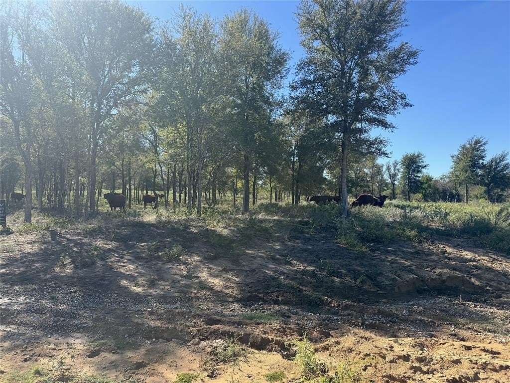 7.84 Acres of Residential Land with Home for Sale in Perrin, Texas
