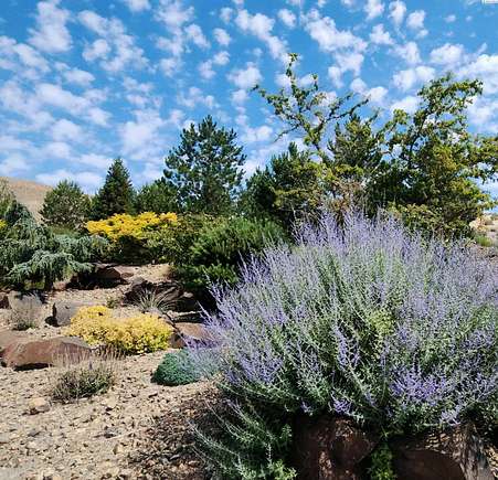 0.34 Acres of Residential Land for Sale in Kennewick, Washington