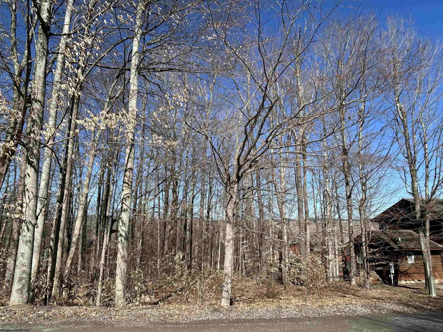 0.28 Acres of Residential Land for Sale in Davis, West Virginia