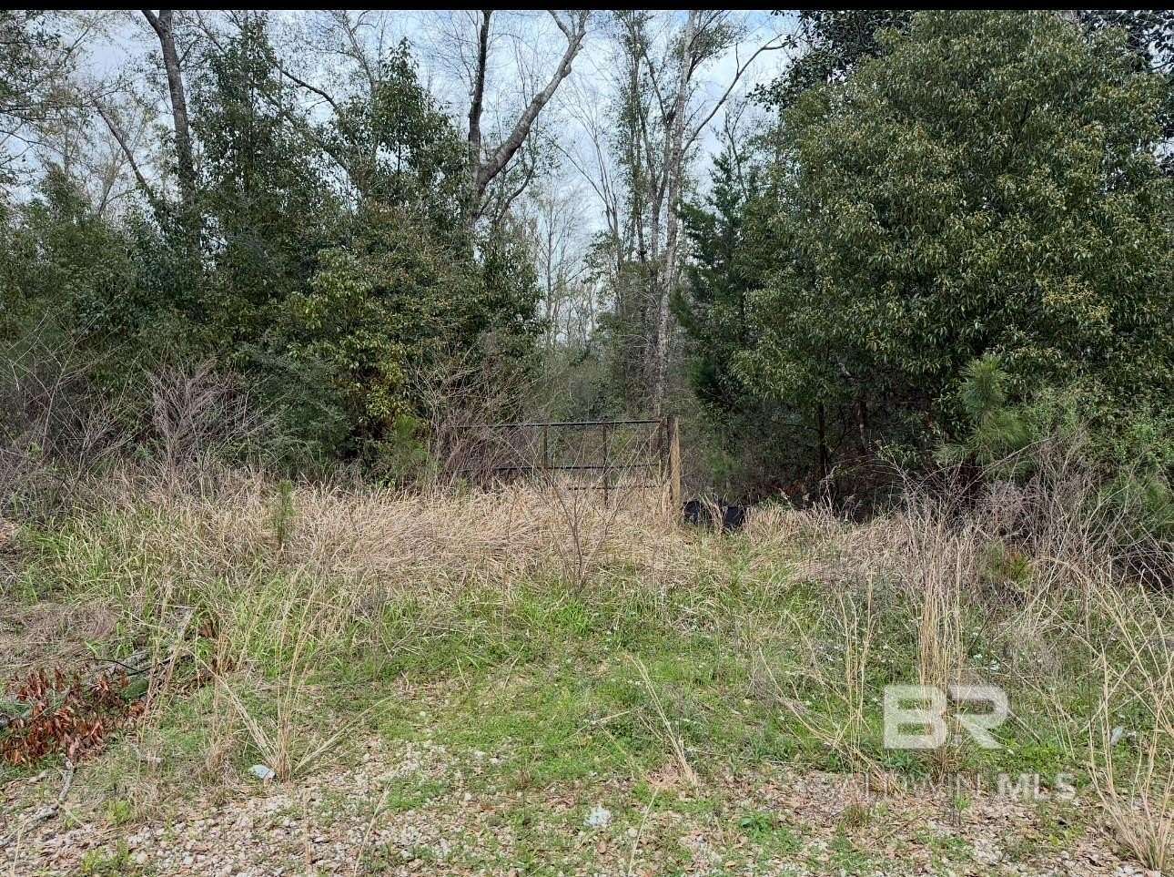 161 Acres of Recreational Land for Sale in Fairhope, Alabama