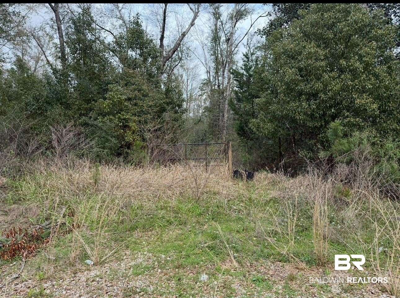 161 Acres of Recreational Land for Sale in Fairhope, Alabama