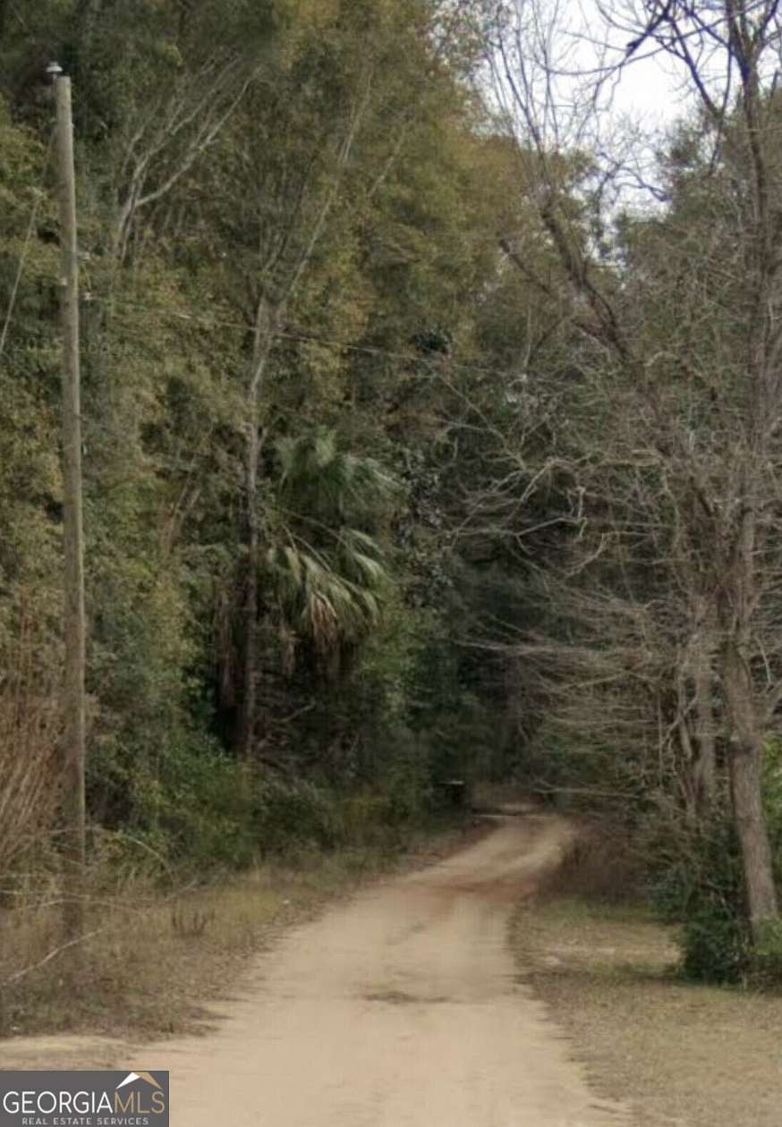 1.75 Acres of Residential Land for Sale in Bainbridge, Georgia