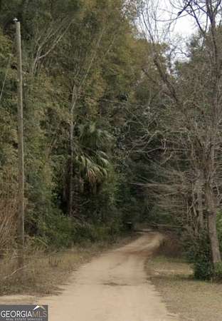 1.75 Acres of Residential Land for Sale in Bainbridge, Georgia