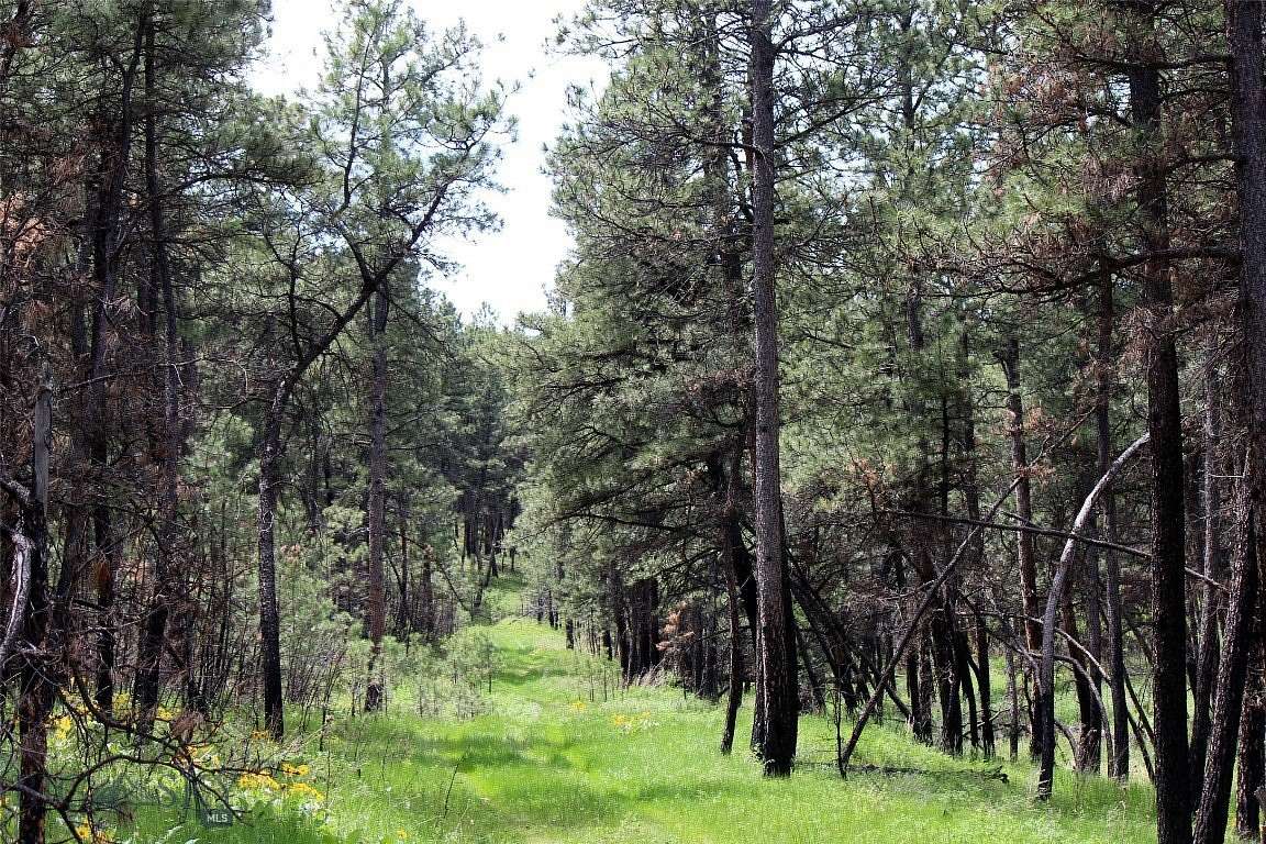 20.1 Acres of Recreational Land for Sale in Roundup, Montana