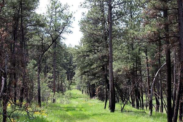 20.1 Acres of Recreational Land for Sale in Roundup, Montana