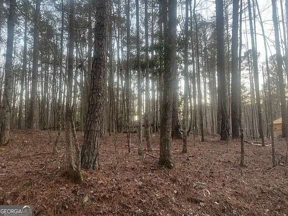 Land for Sale in Fayetteville, Georgia