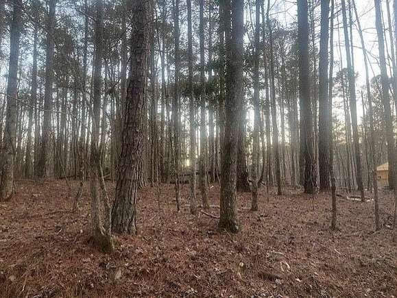 0.11 Acres of Land for Sale in Fayetteville, Georgia