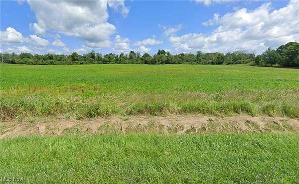 2 Acres of Land for Sale in Chippewa Lake, Ohio