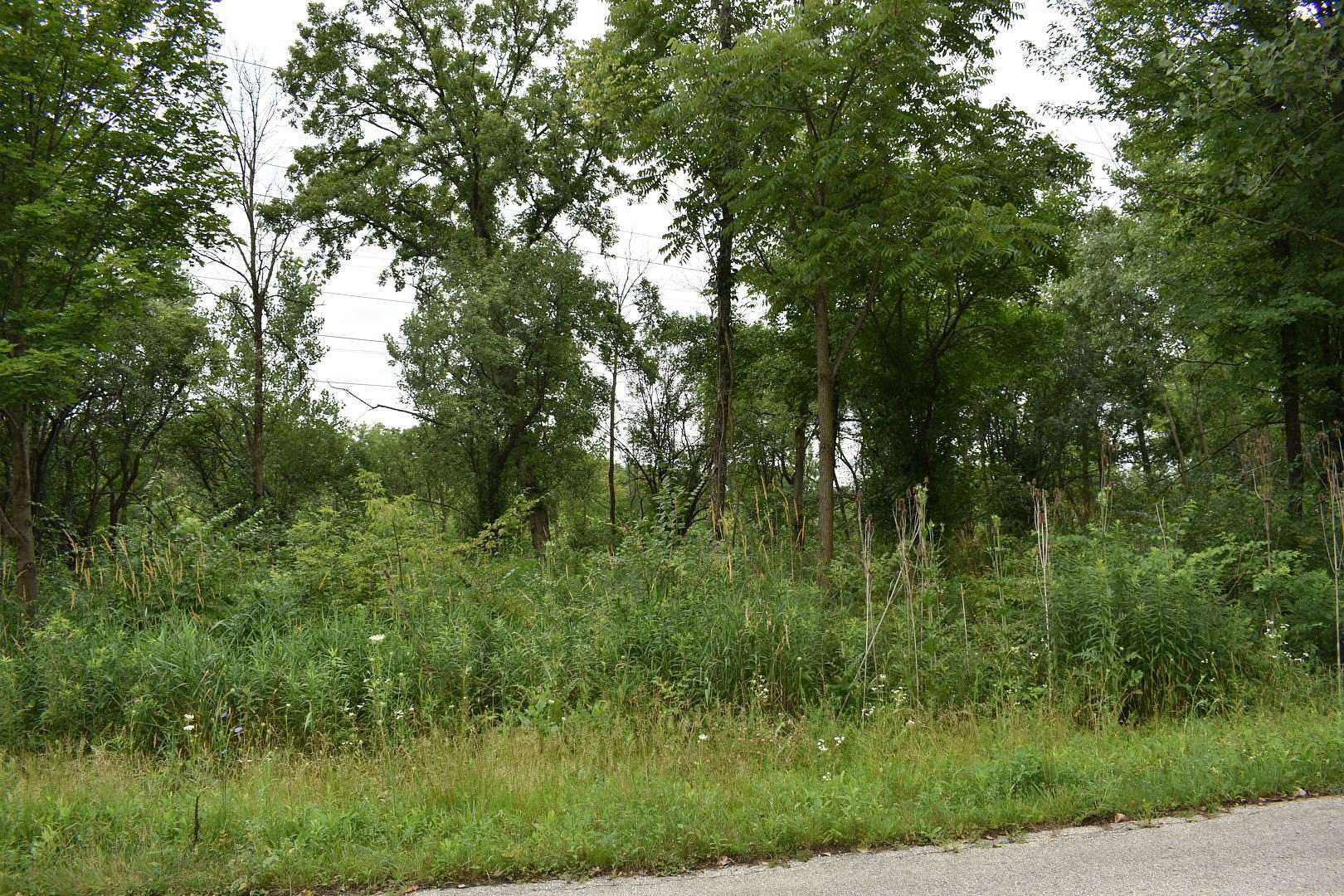 0.78 Acres of Residential Land for Sale in Willow Springs, Illinois