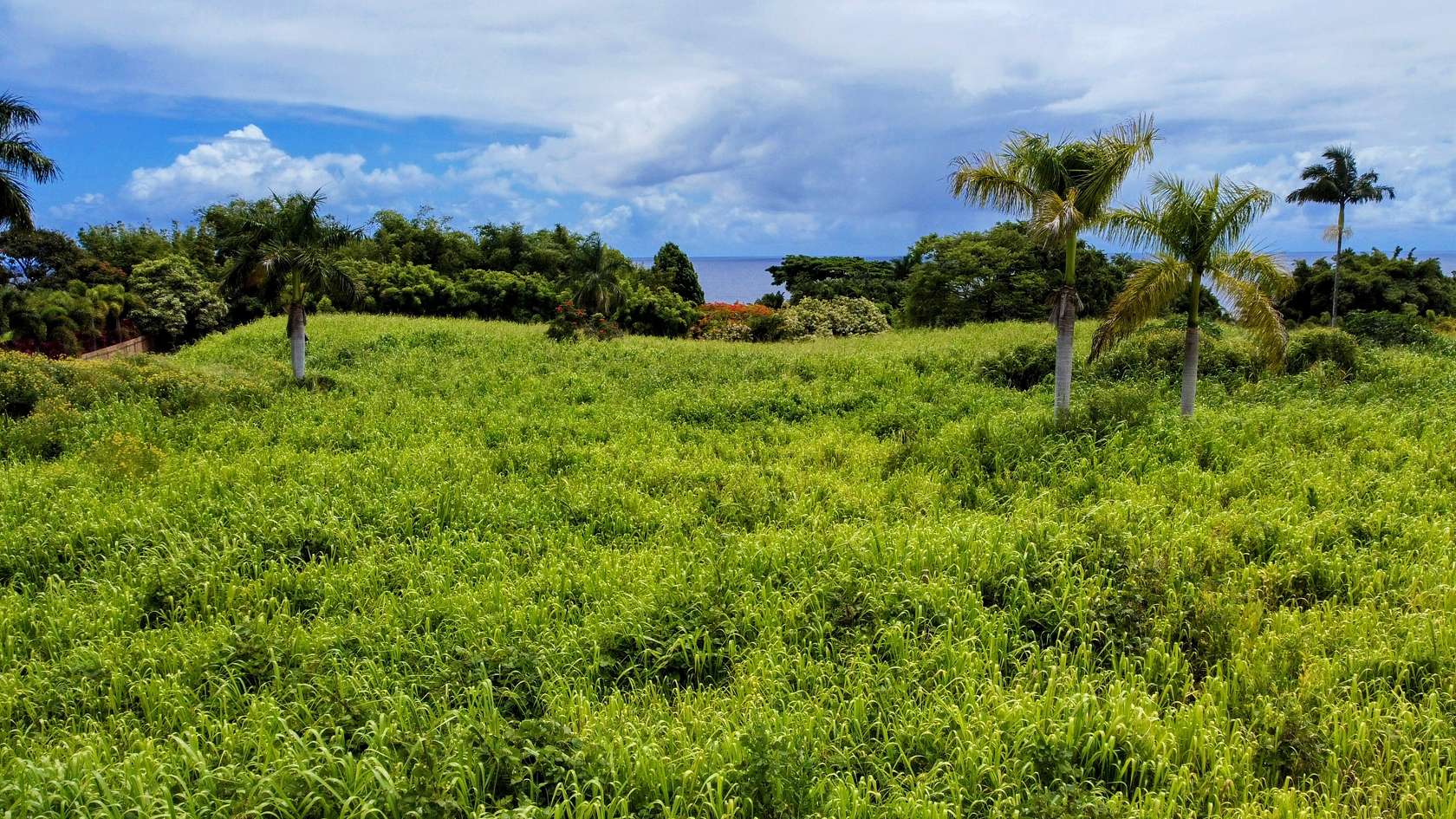 5.6 Acres of Land for Sale in Nīnole, Hawaii