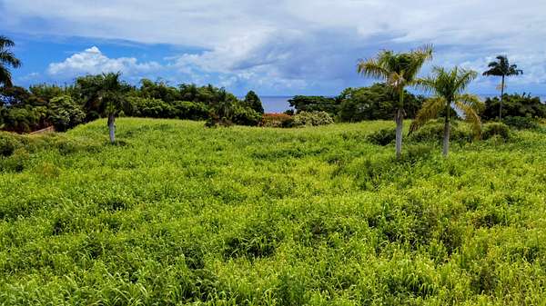 5.6 Acres of Land for Sale in Nīnole, Hawaii