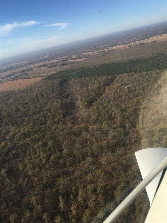 41 Acres of Land for Sale in Bogata, Texas