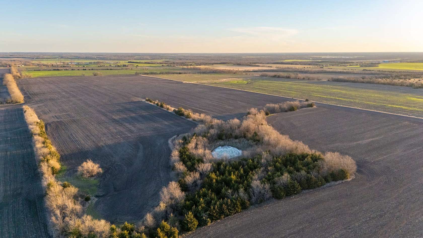 207 Acres of Recreational Land & Farm for Sale in Ben Franklin, Texas