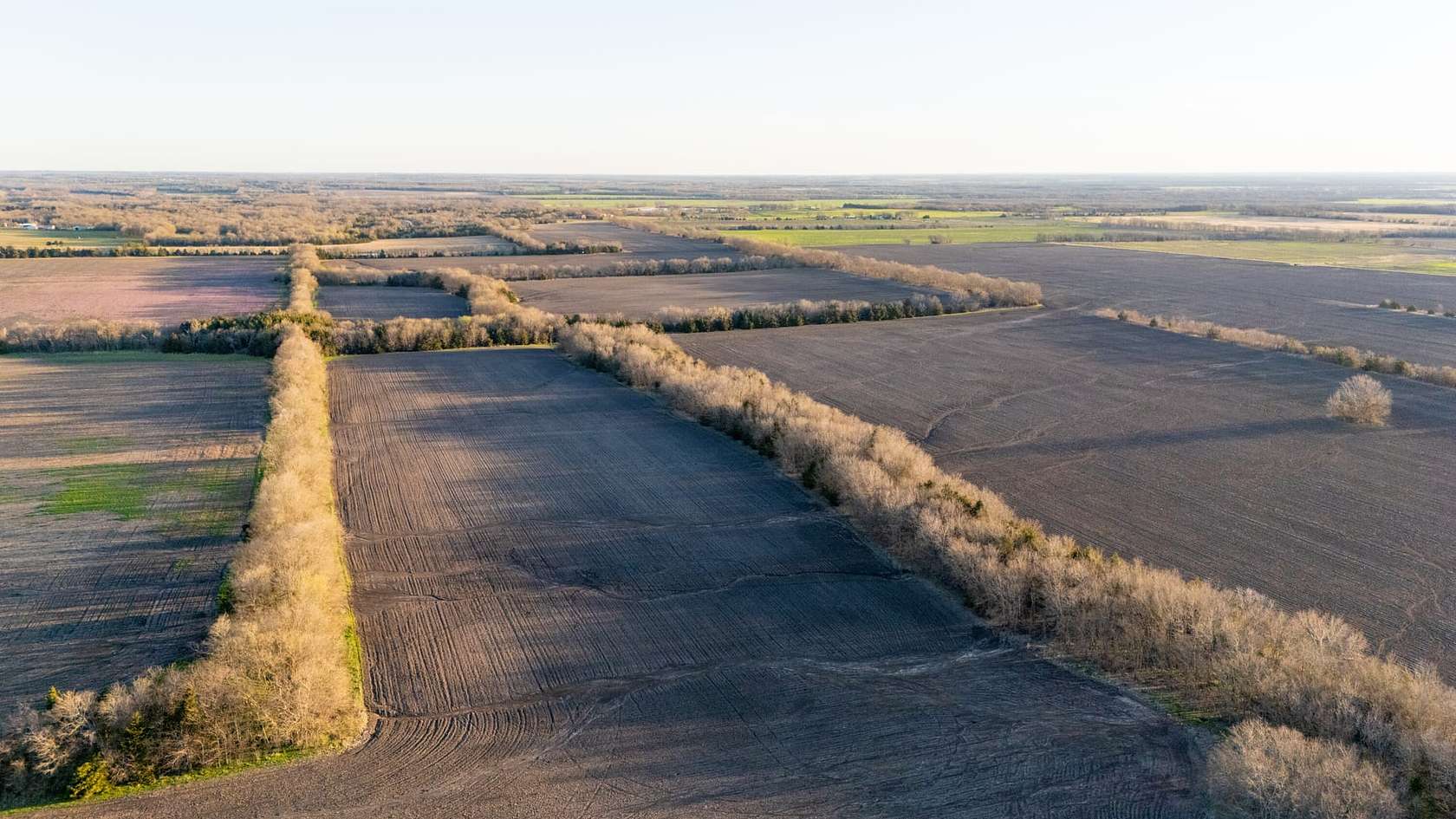 46 Acres of Recreational Land & Farm for Sale in Ben Franklin, Texas