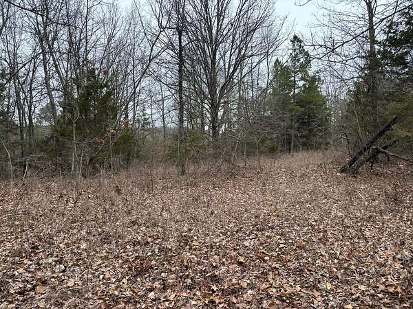 20 Acres of Land for Sale in Yellville, Arkansas