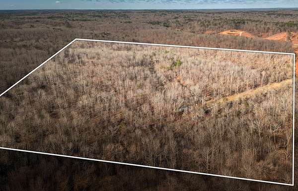 40 Acres of Recreational Land for Sale in Winona, Missouri