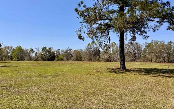 34.7 Acres of Agricultural Land for Sale in Jennings, Florida