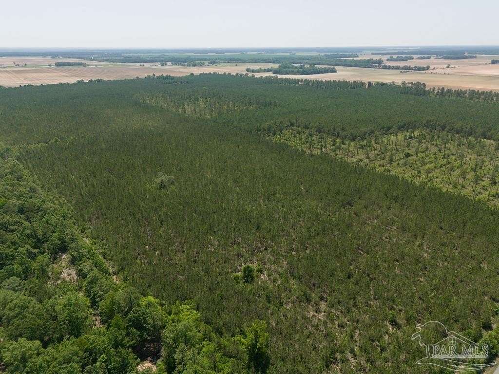 67.7 Acres of Agricultural Land for Sale in Jay, Florida