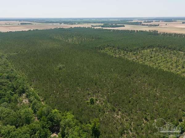 67.7 Acres of Agricultural Land for Sale in Jay, Florida