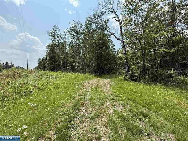 120 Acres of Recreational & Residential Land for Sale in Angora, Minnesota