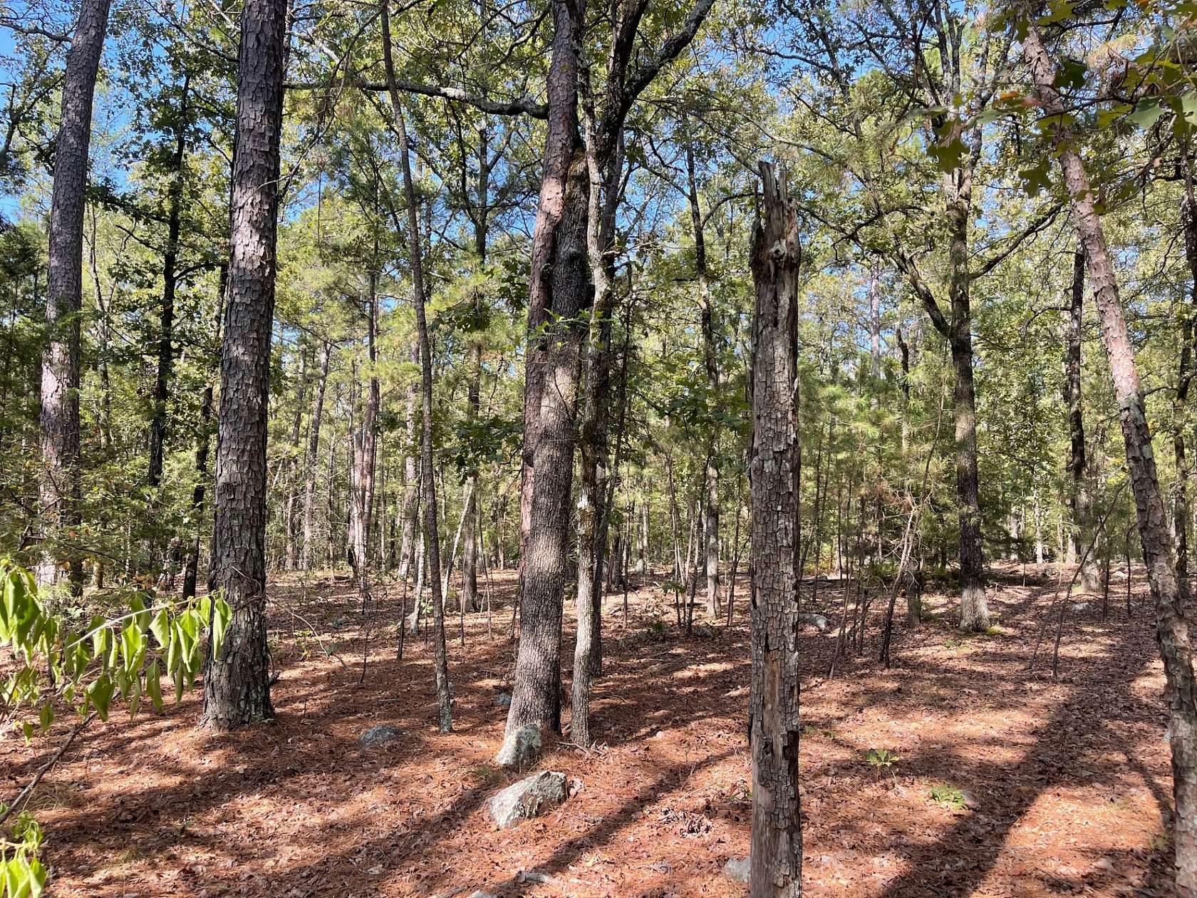 15.3 Acres of Recreational Land for Sale in Antlers, Oklahoma