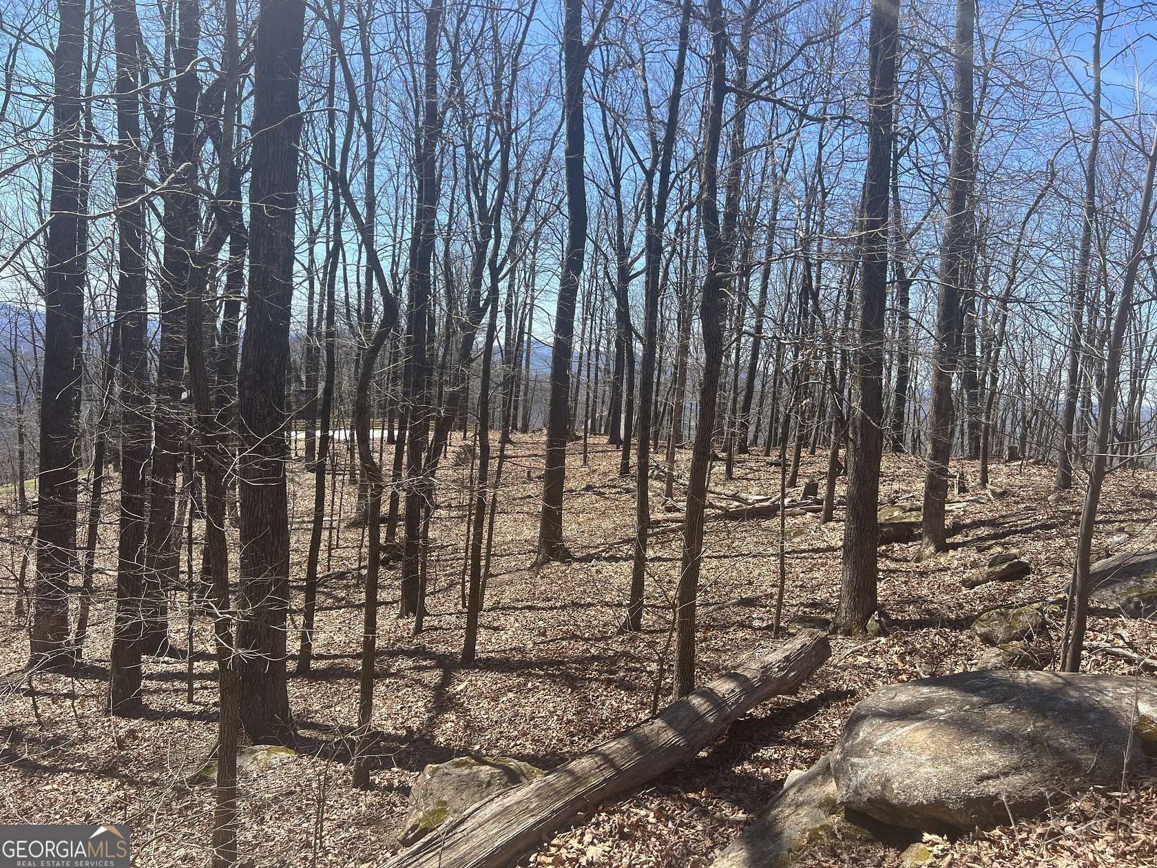 2 Acres of Land for Sale in Cleveland, Georgia