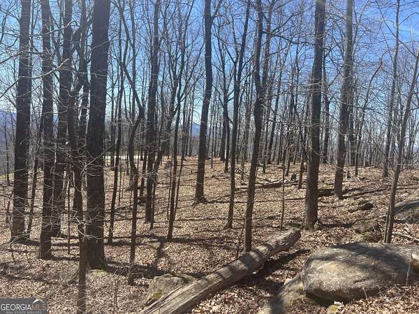 2 Acres of Land for Sale in Cleveland, Georgia